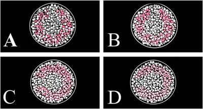 Effect of the Decrease in Luminance Noise Range on Color Discrimination of Dichromats and Trichromats